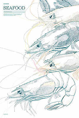 PSD 일러스트 새우 사람없음 스케치 라인아트 해산물 그림 국내일러스트 선 갑각류 미술 파일형식