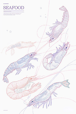 PSD 일러스트 새우 사람없음 스케치 라인아트 해산물 그림 국내일러스트 선 갑각류 미술 파일형식