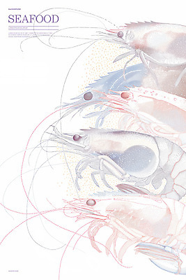 PSD 일러스트 새우 사람없음 스케치 라인아트 해산물 그림 국내일러스트 선 갑각류 미술 파일형식