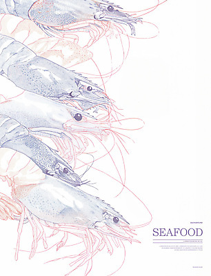 PSD 일러스트 새우 사람없음 스케치 라인아트 해산물 그림 국내일러스트 선 갑각류 미술 파일형식