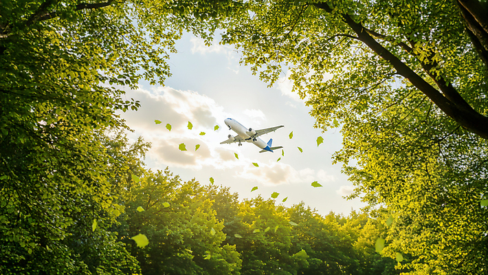 JPG 나무 구름 편집이미지 로우앵글 하늘 나뭇잎 비행기 사람없음 연두색 여름 햇빛 숲 편집실사 AI포토 AI콘텐츠 자연요소 식물 계절 뷰포인트 잎 항공교통 대중교통 초록색 태양 CG 파일형식