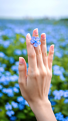 JPG 편집이미지 손 하늘색 꽃밭 야외 신체부위 봄풍경 들꽃 잡기 봄향기 편집실사 AI인물포토 AI콘텐츠 꽃 모션 사람 풍경 파란색 봄 CG 파일형식 AI포토