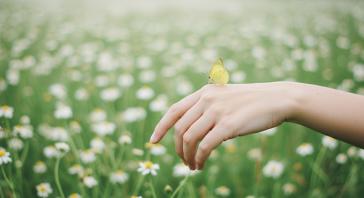 JPG 편집이미지 손 나비 꽃밭 야외 신체부위 초록색 봄풍경 들꽃 봄향기 편집실사 AI인물포토 AI콘텐츠 꽃 컬러 곤충 사람 풍경 봄 CG 파일형식 AI포토