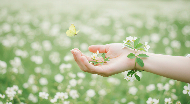 JPG 편집이미지 손 나비 꽃밭 팔찌 들기 야외 신체부위 초록색 봄풍경 들꽃 봄향기 편집실사 AI인물포토 AI콘텐츠 꽃 컬러 곤충 장신구 모션 사람 풍경 봄 CG 파일형식 AI포토