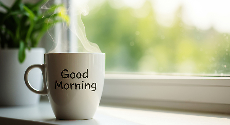 JPG 식물 편집이미지 화분 아침 사람없음 햇빛 머그컵 수증기 커피잔 창틀 일과 모닝커피 좋음 편집실사 AI포토 AI콘텐츠 주간 커피 컨셉 창문 잔 컵 태양 CG 파일형식