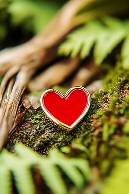 JPG 식물 편집이미지 사람없음 빨간색 빛 하트 배지 광택 편집실사 AI포토 AI콘텐츠 모양 컬러 CG 파일형식