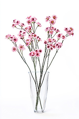 JPG 편집이미지 봄꽃 유리병 사람없음 꽃병 편집실사 AI포토 AI콘텐츠 꽃 병_용기 봄 CG 파일형식