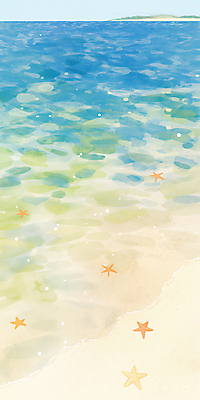 JPG 물결 섬 일러스트 하늘 불가사리 해변 사람없음 파란색 여름풍경 국내일러스트 AI일러스트 AI콘텐츠 바다 컬러 극피동물 풍경 파일형식 여름_계절