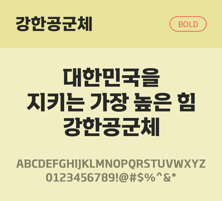 한글 사람없음 TTF 볼드체 국문폰트 한글폰트 설치폰트 디자인서체 무료콘텐츠 무료폰트 THE폰트 강한공군체 문자 폰트 파일형식