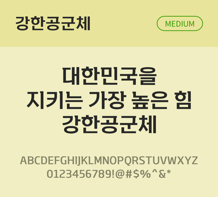 한글 사람없음 TTF 국문폰트 한글폰트 설치폰트 디자인서체 미디움체 무료콘텐츠 무료폰트 THE폰트 강한공군체 문자 폰트 파일형식