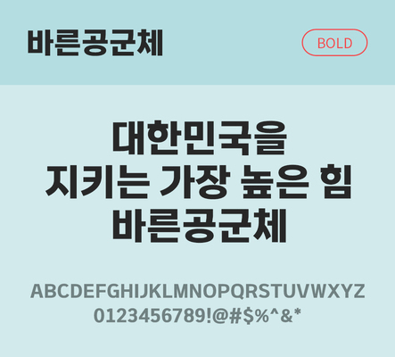 한글 사람없음 TTF 볼드체 국문폰트 한글폰트 설치폰트 디자인서체 무료콘텐츠 무료폰트 THE폰트 바른공군체 문자 폰트 파일형식