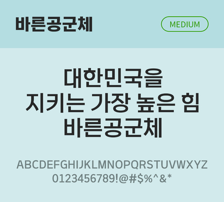 한글 사람없음 TTF 국문폰트 한글폰트 설치폰트 디자인서체 미디움체 무료콘텐츠 무료폰트 THE폰트 바른공군체 문자 폰트 파일형식