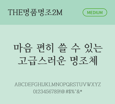 폰트 한글 사람없음 TTF 국문폰트 한글폰트 낱개폰트 설치폰트 베이직서체 미디움체 THE폰트 명품명조2체 문자 파일형식