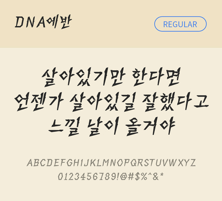 폰트 한글 사람없음 TTF 레귤러체 국문폰트 한글폰트 설치폰트 디자인서체 THE폰트 에반체 문자 파일형식 DNA폰트