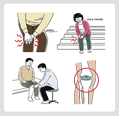 전신 여자 노년 남자 중년 의자 일러스트 뼈 앉기 여러명 계단 진료 잡기 찡그림 관절 무릎 관절뼈 다리뼈 무릎통증 국내일러스트 AI파일 가구 다수 의학 모션 표정 사람 성인 신체부위 고통 파일형식 벡터