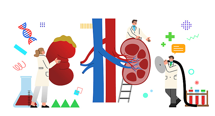 전신 여자 남자 말풍선 일러스트 사다리 청진기 실험 미소 들기 성인 세명 건강관리 의사 신장 장기 DNA 연구원 분석 시험관 삼각플라스크 십자마크 성인만 국내일러스트 AI파일 직업 컨셉 신체 의료기기 모션 표정 건강 실험기구 관리 사람 의료진 도구 비뇨기관 생명공학 플라스크 파일형식 벡터