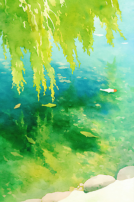 JPG 일러스트 수채화 사람없음 초록색 햇빛 여름풍경 바위 물가 개울 수양버들 잉어 국내일러스트 AI일러스트 AI콘텐츠 컬러 어류 풍경 강 태양 돌_바위 버드나무 파일형식 여름_계절