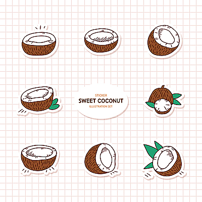 스티커 잎 일러스트 단면 사람없음 세트 갈색 코코넛 국내일러스트 AI파일 식물 컬러 과일 파일형식 벡터