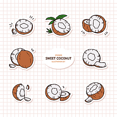스티커 잎 일러스트 단면 사람없음 세트 갈색 코코넛과육 국내일러스트 AI파일 식물 컬러 코코넛 과육 파일형식 벡터
