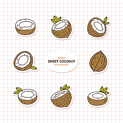 스티커 잎 일러스트 단면 사람없음 세트 갈색 코코넛 국내일러스트 AI파일 식물 컬러 과일 파일형식 벡터