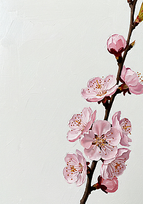 JPG 분홍색 일러스트 페인팅 사람없음 봄 나뭇가지 꽃봉오리 살구꽃 유화 국내일러스트 AI일러스트 AI콘텐츠 나무 계절 꽃 컬러 미술 파일형식