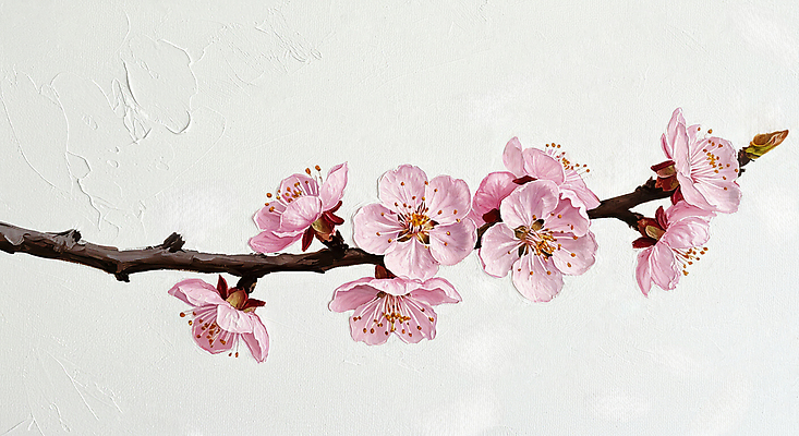 JPG 분홍색 일러스트 페인팅 사람없음 봄 나뭇가지 꽃봉오리 살구꽃 유화 국내일러스트 AI일러스트 AI콘텐츠 나무 계절 꽃 컬러 미술 파일형식