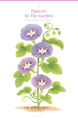 PSD 잎 일러스트 사람없음 초록색 정원 덩굴 나팔꽃 보테니컬아트 국내일러스트 식물 꽃 컬러 파일형식