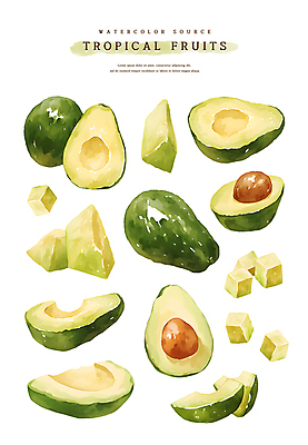 PSD 조각 스티커 일러스트 단면 수채화 씨앗 사람없음 초록색 열대과일 아보카도 국내일러스트 식물 컬러 과일 파일형식