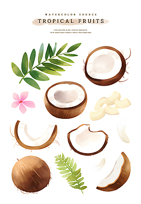 PSD 꽃 스티커 잎 일러스트 단면 수채화 사람없음 갈색 열대과일 코코넛과육 국내일러스트 식물 컬러 과일 코코넛 과육 파일형식