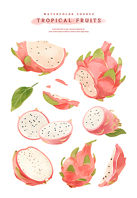 PSD 분홍색 스티커 잎 일러스트 단면 수채화 사람없음 열대과일 슬라이스 용과 국내일러스트 식물 컬러 과일 파일형식