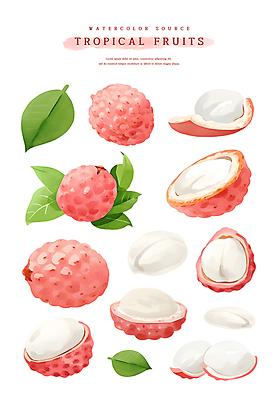PSD 분홍색 스티커 잎 일러스트 수채화 사람없음 열대과일 과육 리치 국내일러스트 식물 컬러 과일 파일형식