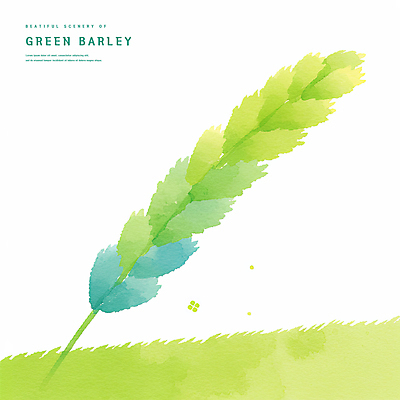 PSD 일러스트 자연 초원 사람없음 연두색 봄풍경 시원함 감성 청보리 청보리밭 국내일러스트 컨셉 밭 풍경 초록색 봄 생태계 보리 파일형식