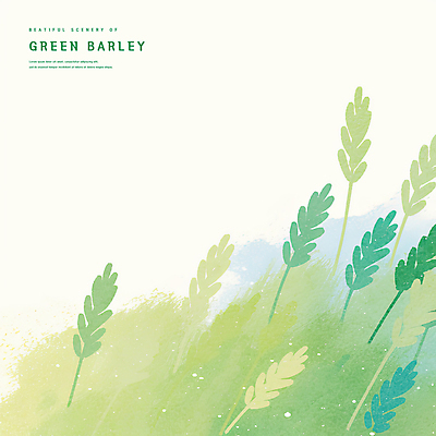 PSD 일러스트 자연 초원 사람없음 연두색 봄풍경 시원함 감성 청보리 청보리밭 국내일러스트 컨셉 밭 풍경 초록색 봄 생태계 보리 파일형식