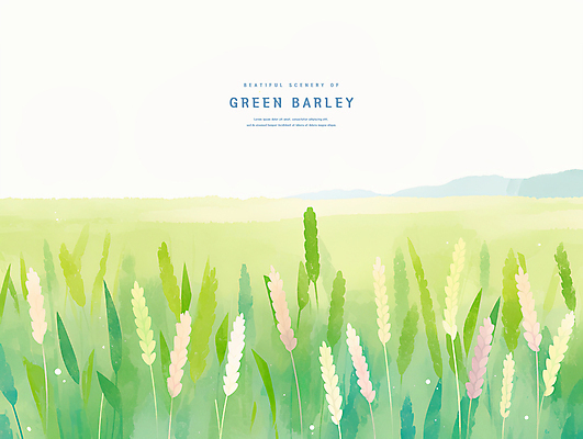 PSD 일러스트 자연 산 초원 사람없음 연두색 봄풍경 시원함 감성 청보리 청보리밭 국내일러스트 컨셉 밭 풍경 초록색 봄 생태계 보리 파일형식