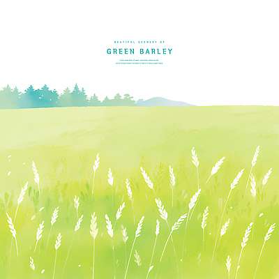 PSD 나무 일러스트 자연 초원 사람없음 연두색 봄풍경 시원함 감성 청보리 청보리밭 국내일러스트 식물 컨셉 밭 풍경 초록색 봄 생태계 보리 파일형식