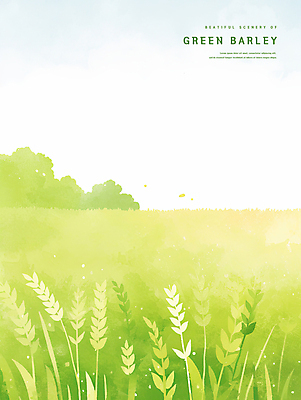 PSD 일러스트 자연 하늘 초원 사람없음 연두색 봄풍경 풀 시원함 감성 청보리 청보리밭 국내일러스트 식물 컨셉 밭 풍경 초록색 봄 생태계 보리 파일형식