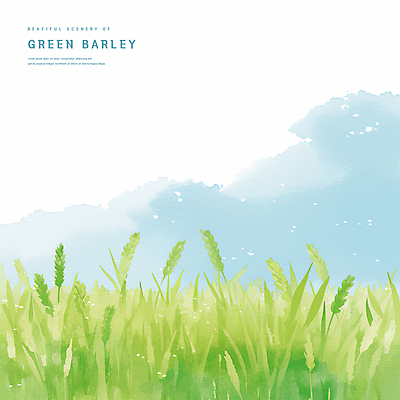 PSD 구름 일러스트 자연 초원 사람없음 연두색 봄풍경 시원함 감성 청보리 청보리밭 국내일러스트 자연요소 컨셉 밭 풍경 초록색 봄 생태계 보리 파일형식