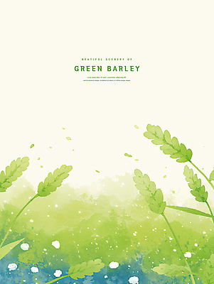 PSD 일러스트 자연 초원 사람없음 연두색 봄풍경 시원함 감성 청보리 청보리밭 국내일러스트 컨셉 밭 풍경 초록색 봄 생태계 보리 파일형식