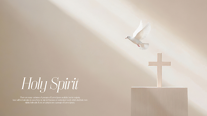 PSD 편집이미지 기독교 십자가 사람없음 빛 비행 비둘기 신성 베이지색 성령 영광군 이미지편집 종교 컬러 조류 전라남도 파일형식