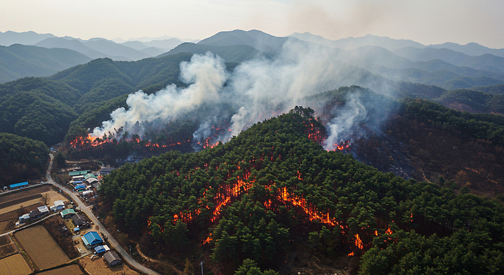 JPG 편집이미지 자연 불 건조 사람없음 봄 피해 농촌 연기 숲 위험 사회이슈 디지털합성 화재 산불 항공촬영 이슈 편집실사 AI포토 AI콘텐츠 자연요소 계절 뷰포인트 컨셉 시골 사건 CG 생태계 파일형식