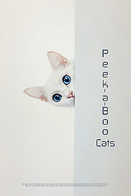 PSD 편집이미지 한마리 포스터 사람없음 귀여움 고양이 놀람 흰색 심플 놀래키기 숨기 이미지편집 1 감정 컬러 컨셉 포유류 모션 표정 반려동물 파일형식