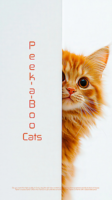 PSD 편집이미지 한마리 포스터 사람없음 귀여움 고양이 놀람 흰색 심플 놀래키기 숨기 숨바꼭질 이미지편집 1 감정 컬러 컨셉 포유류 모션 표정 반려동물 파일형식