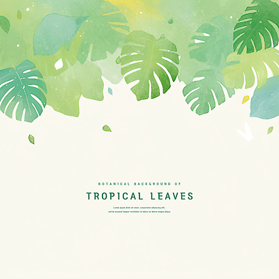 PSD 잎 일러스트 수채화 사람없음 초록색 카피스페이스 트로피컬아트 국내일러스트 식물 컬러 공백 그림 파일형식
