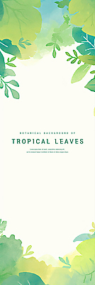 PSD 잎 일러스트 수채화 프레임 사람없음 초록색 카피스페이스 트로피컬아트 국내일러스트 식물 컬러 공백 그림 파일형식