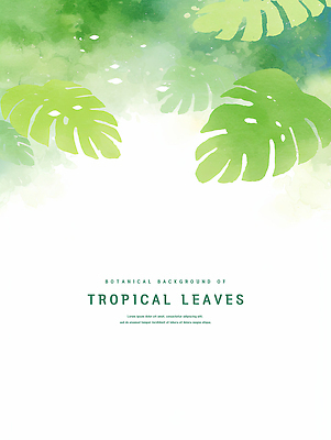 PSD 잎 일러스트 수채화 사람없음 초록색 카피스페이스 트로피컬아트 국내일러스트 식물 컬러 공백 그림 파일형식