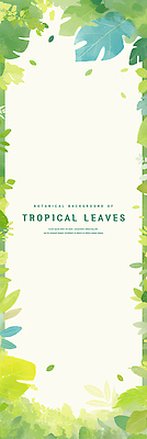 PSD 잎 일러스트 수채화 프레임 사람없음 초록색 카피스페이스 트로피컬아트 국내일러스트 식물 컬러 공백 그림 파일형식