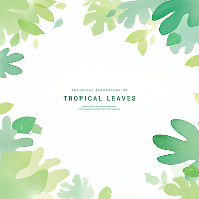 PSD 잎 일러스트 수채화 프레임 사람없음 초록색 카피스페이스 트로피컬아트 국내일러스트 식물 컬러 공백 그림 파일형식