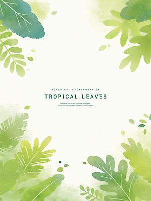 PSD 잎 일러스트 수채화 프레임 사람없음 초록색 카피스페이스 트로피컬아트 국내일러스트 식물 컬러 공백 그림 파일형식