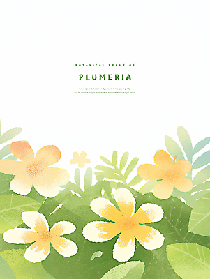 PSD 백그라운드 일러스트 수채화 사람없음 연두색 풀잎 플루메리아 트로피컬아트 연노랑색 국내일러스트 꽃 잎 초록색 노란색 풀_식물 그림 파일형식