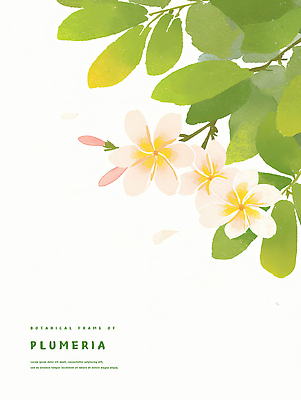 PSD 백그라운드 일러스트 수채화 사람없음 연두색 풀잎 플루메리아 트로피컬아트 연노랑색 국내일러스트 꽃 잎 초록색 노란색 풀_식물 그림 파일형식
